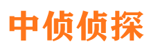 镜湖侦探公司